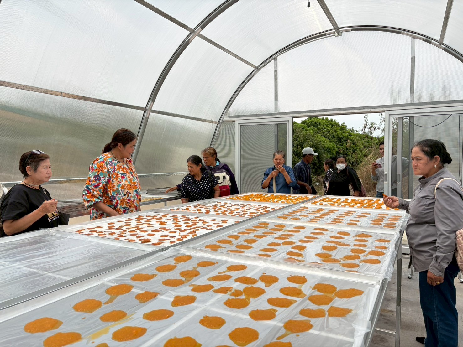 title - ส.ป.ก.นครปฐม จัดโครงการที่ดินพระราชทานในเขตปฏิรูปที่ดินจังหวัดนครปฐม ปีงบประมาณ พ.ศ. 2569 หลักสูตร การจัดการที่ดินและระบบการผลิตที่มีประสิทธิภาพ เพื่อเพิ่มโอกาสด้านการท่องเที่ยว ระยะที่ 3